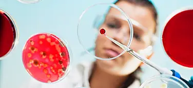 Mikroben, Pilze und Enzyme machen vor, wie biologische Systeme Plastik nicht nur abbauen – sondern in Rohstoffe, Habitate und sogar Medikamente verwandeln.