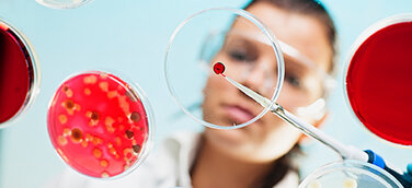 Mikroben, Pilze und Enzyme machen vor, wie biologische Systeme Plastik nicht nur abbauen – sondern in Rohstoffe, Habitate und sogar Medikamente verwandeln.