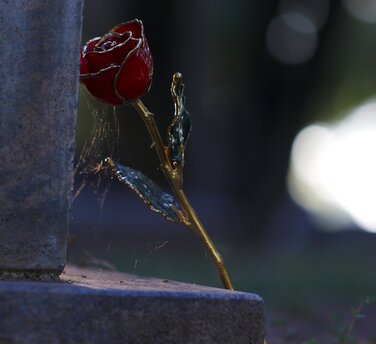 Grabstein mit einer Rose