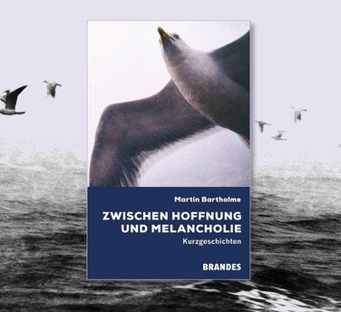 Buchcover "Zwischen Hoffnung und Melancholie" von Martin Bartholme mit fliegenden Möwen im Hintergrund