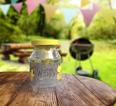 Waspy auf Gartentisch beim Grillen