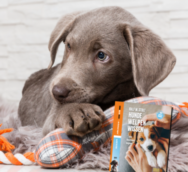 Welpen Checkliste aus dem SalzHund Medienverlag