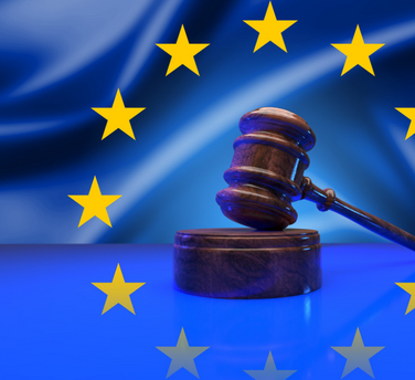 Regelungen für öffentliche Vergaben bei einem EU-Binnenmarkt-Notfall