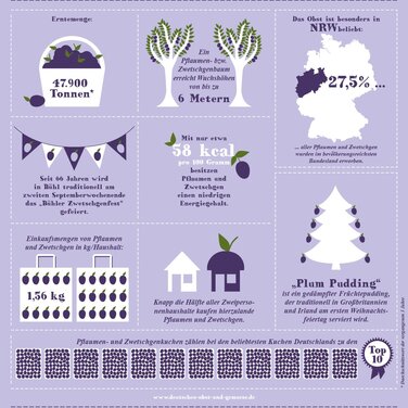 Infografik – Pflaumen und Zwetschgen: Jetzt wird es fruchtig