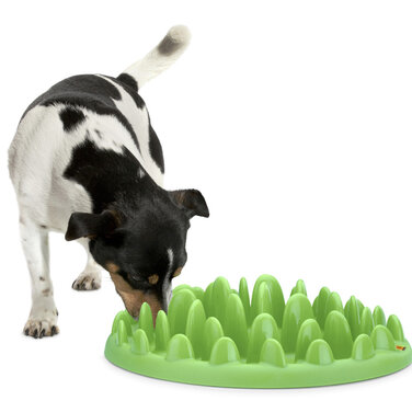 Karlie Flamingo präsentiert den mehrfach prämierten slow feeder NORTHMATE GREEN