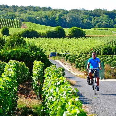 Mit dem Fahrrad auf den Spuren der Bio-Weine der Champagne