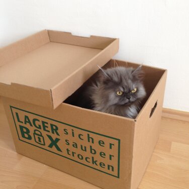 Einen Lagerraum mieten in Berlin mit LAGERBOX wird zur Expansionsangelegenheit