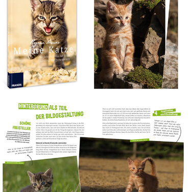 Franzis Tierfotobuch - Meine Katze - So fotografieren Sie Ihren Liebling mal ganz anders