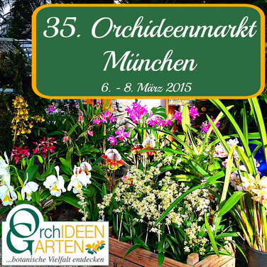 35. Orchideenmarkt in München mit Orchideentaufe und Orchideen-Symposium