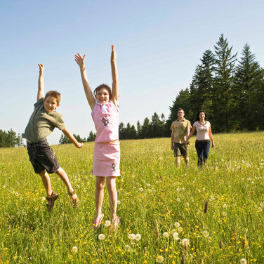 Familienurlaub im Bodenmaiser Hof