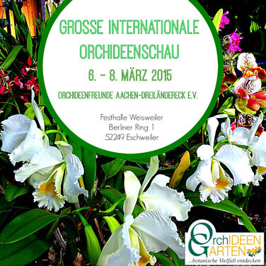 Grosse Internationale Orchideenschau der Orchideenfreunde Aachen-Dreiländereck e.V.
