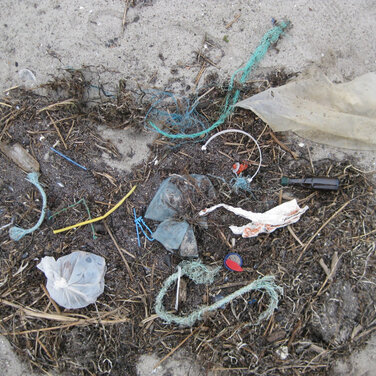 Meeresmüll-Forum – Akteure und Studenten diskutieren lokale Lösungen eines globalen Problems