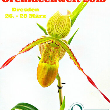 Orchideenkönigin hält Hof auf der Internationalen Orchideenwelt 2015 in Dresden