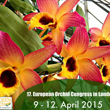 17. Europäische Orchideen Show & Konferenz vom 9. - 12. April 2015 in London mit Adel aus Niedersachsen