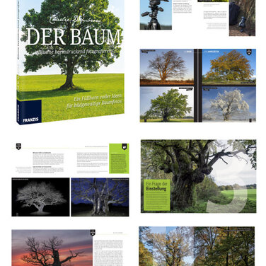 Franzis Fotobuch: Der Baum - Naturfotografie der Faszination des Lebens
