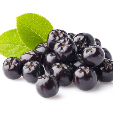 Aroniabeere - die Wunderbeere für ihre Gesundheit