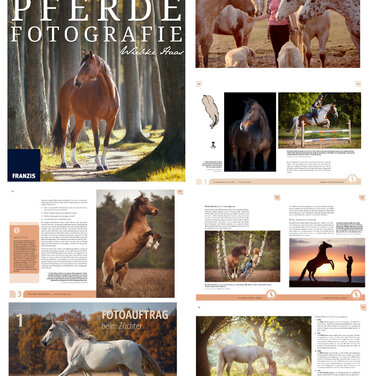 Faszination Pferdefotografie - Schönheit, Stärke, Anmut und Poesie im Bild