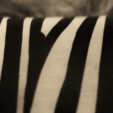 Pulzing Initiative in Berlin gegründet