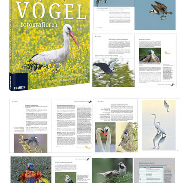 FRANZIS Fotoschule Vögel fotografieren - eine Königsklasse der Naturfotografie