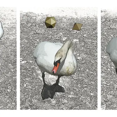 DEBUT 2018: Ausstellung für Fotografie, Malerei, Performance und Mixed Media