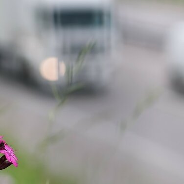 Toll Collect: Damals, heute und was die Zukunft alles bringen könnte