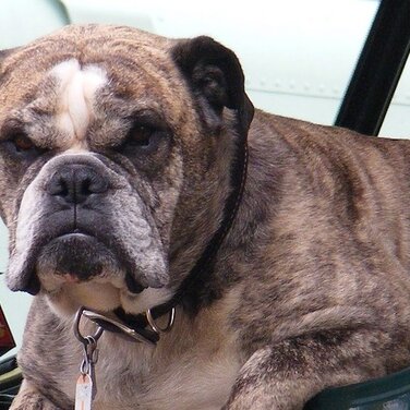 2019 wird ein turbulentes Jahr für die Logistik – Zeit für Gelassenheit