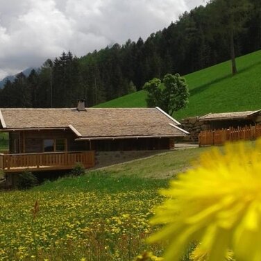 Hüttenurlaub im Frühling | der Gesundheitskick aus den Alpen