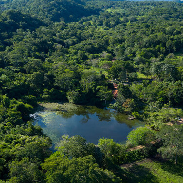Pantanal: Brasiliens grünes Abenteuer