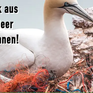 Umweltschutz jetzt - Tierschutz hier