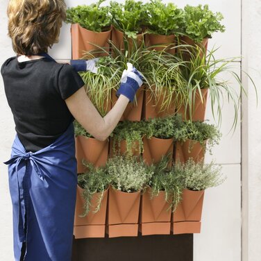 Urban Gardening geht die Wände hoch - das Vertical Garden WALL-System