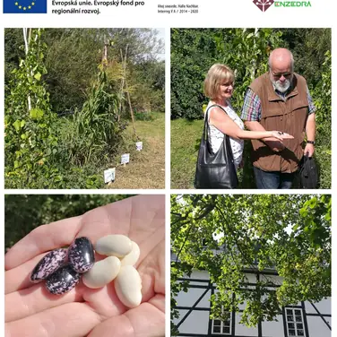 ENZEDRA-Projektpräsentation auf dem AmbrossGut Schönbrunn