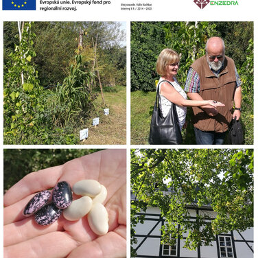 ENZEDRA-Projektpräsentation auf dem AmbrossGut Schönbrunn