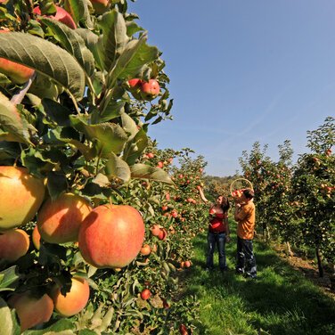 Thurgau Bodensee: Spazieren, feiern, entspannen