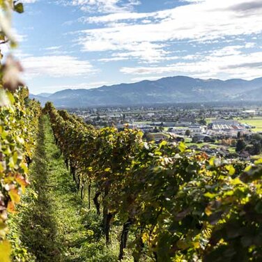 Genussregion St.Gallen-Bodensee: Von der fünften Jahreszeit, den vier B und weiteren Köstlichkeiten