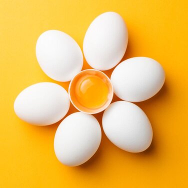 World Egg Day: SCRAEGG präsentiert das Kleine Ei(n)maleins