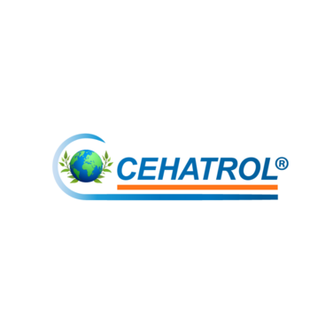 CEHATROL Technology eG und die „Revitalisierung des Ganges“