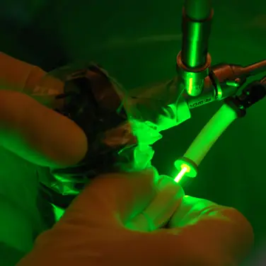 Erfolg von Greenlightlaser und Evolve-Laser nachgewiesen