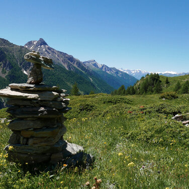 Heilsame Schönheiten - das Aostatal in voller Blütenpracht