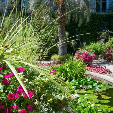 Gartenfantasien am Lago Maggiore – und Tee