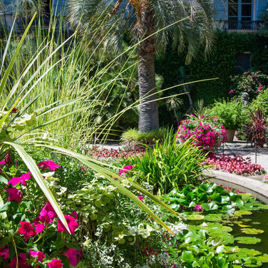 Gartenfantasien am Lago Maggiore – und Tee