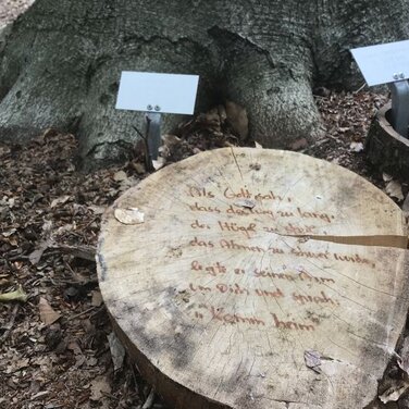Warnung vor Gedenkstücken im Bestattungswald: Nicht nur wegen Waldbrandgefahr auf Kerzen verzichten