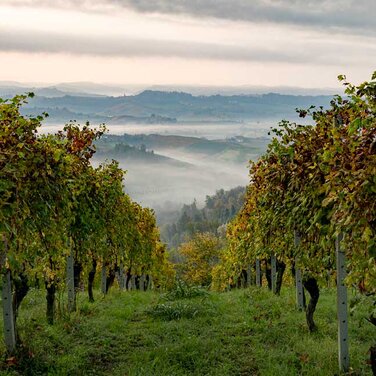Die Provinz Cuneo im norditalienischen Piemont ist für sicheren Tourismus gewappnet