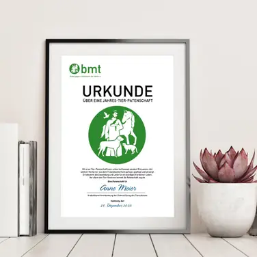 „Tierliebe schenken“ – Patenschaften für das Franziskus-Tierheim