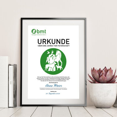 „Tierliebe schenken“ – Patenschaften für das Franziskus-Tierheim