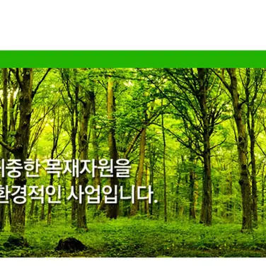 KWPA leistet weiterhin einen Beitrag zur Koreas Sperrholzindustrie