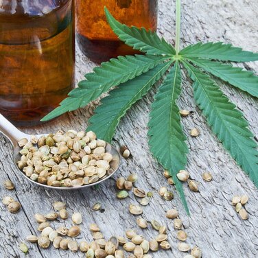 CBD-, Hanf- oder Hasch-Öl? Was ist was?