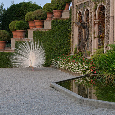 Gartenkunstwerke und unberührte Wildnis