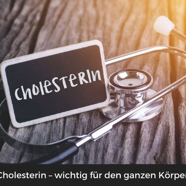 Cholesterin – wichtig für den ganzen Körper!