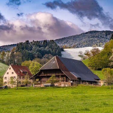 Bauwerk Talk: Typisch Schwarzwald - Regionale Baustoffe. Regionale Bauweisen