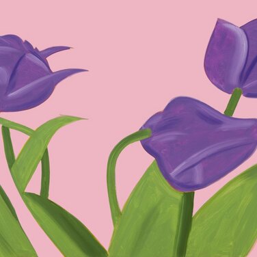 Alex Katz Flowers Portfolio Purple Tulips